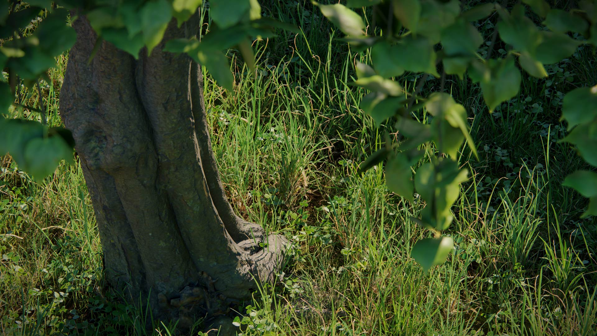 images/site/producten/Lumion/Lumion2026/New%20Nature%20Assets/Photogrammetry/Trees/Tilia%20cordata/pro-26-photogrammetry-tilia-cordata-trunk.jpg#joomlaImage://local-images/site/producten/Lumion/Lumion2026/New Nature Assets/Photogrammetry/Trees/Tilia cordata/pro-26-photogrammetry-tilia-cordata-trunk.jpg?width=1920&height=1080