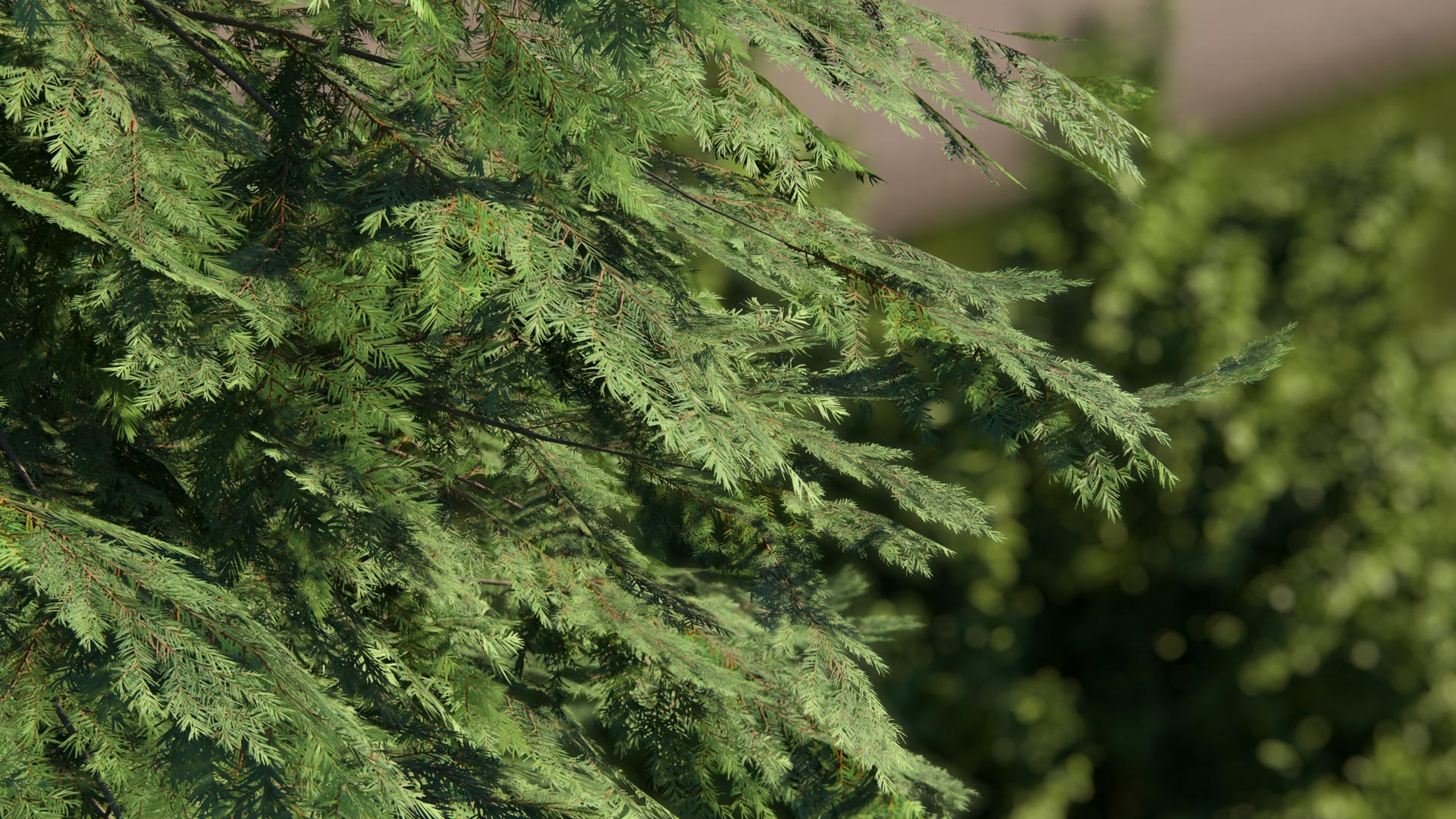 images/site/producten/Lumion/Lumion2026/Templates%20&%20Example%20scenes/Templates/Nature%20Macro%20Shots/pro-26-nature-macro-shot-leaves-close-up.jpg#joomlaImage://local-images/site/producten/Lumion/Lumion2026/Templates & Example scenes/Templates/Nature Macro Shots/pro-26-nature-macro-shot-leaves-close-up.jpg?width=1920&height=1080