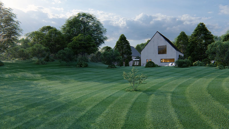 grass on the hillside